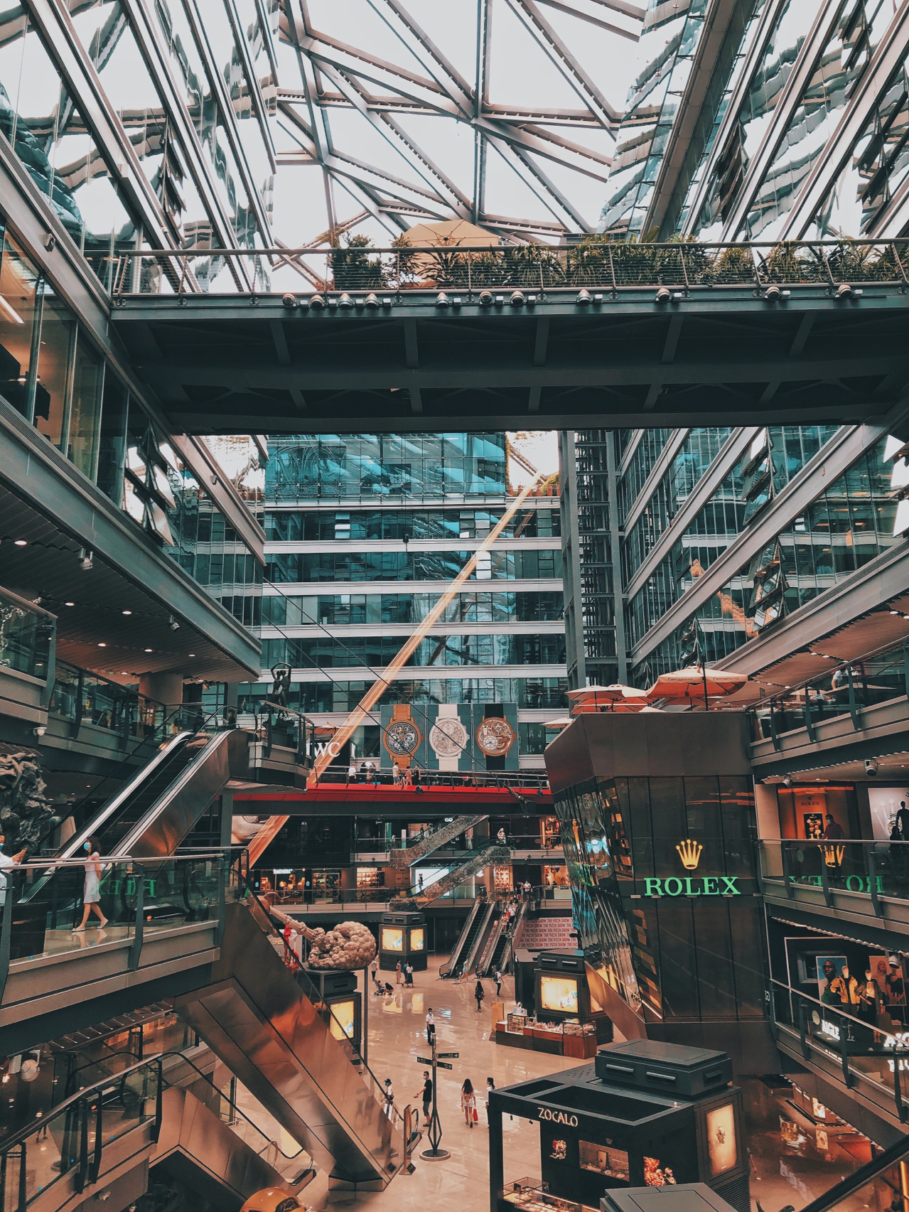 新澳今天免費芳草地，探索與體驗的獨特魅力，新澳今日免費芳草地，獨特魅力的探索與體驗之旅