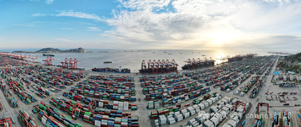 新澳王中王，揭秘一肖一特一中背后的秘密，揭秘新澳王中王一肖一特一中背后的秘密傳奇