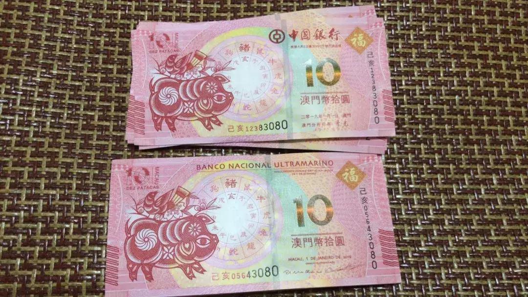 新澳門生肖走勢圖，深度解析與預(yù)測，澳門生肖走勢圖深度解析及預(yù)測報告