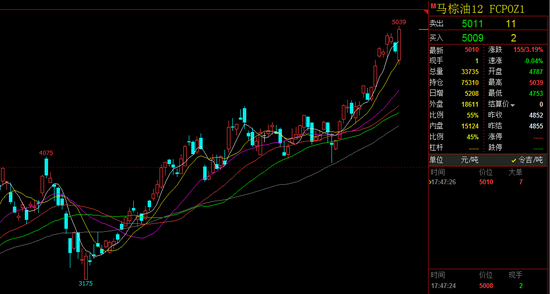 揭秘精準(zhǔn)特馬，探尋77777與88888背后的秘密，揭秘?cái)?shù)字特馬真相，探尋77777與88888背后的神秘面紗
