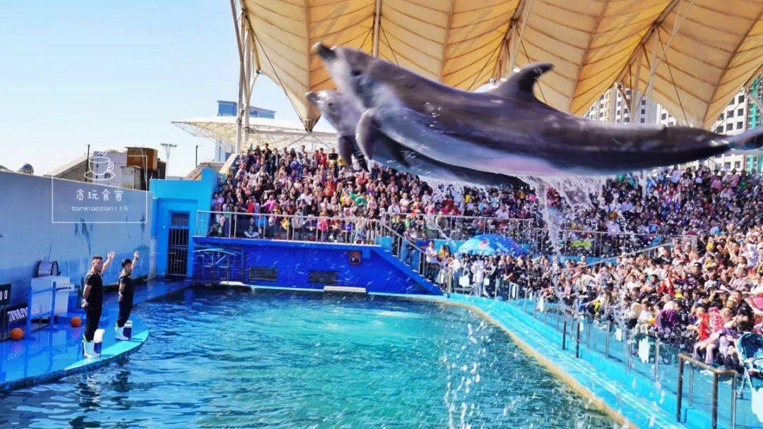 新澳今晚上9點30分的精彩瞬間與背后故事，新澳之夜，精彩瞬間與背后故事揭秘