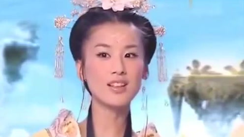 曾道道人資料免費大全，深度探索與解析，曾道道人資料深度解析與免費大全探索