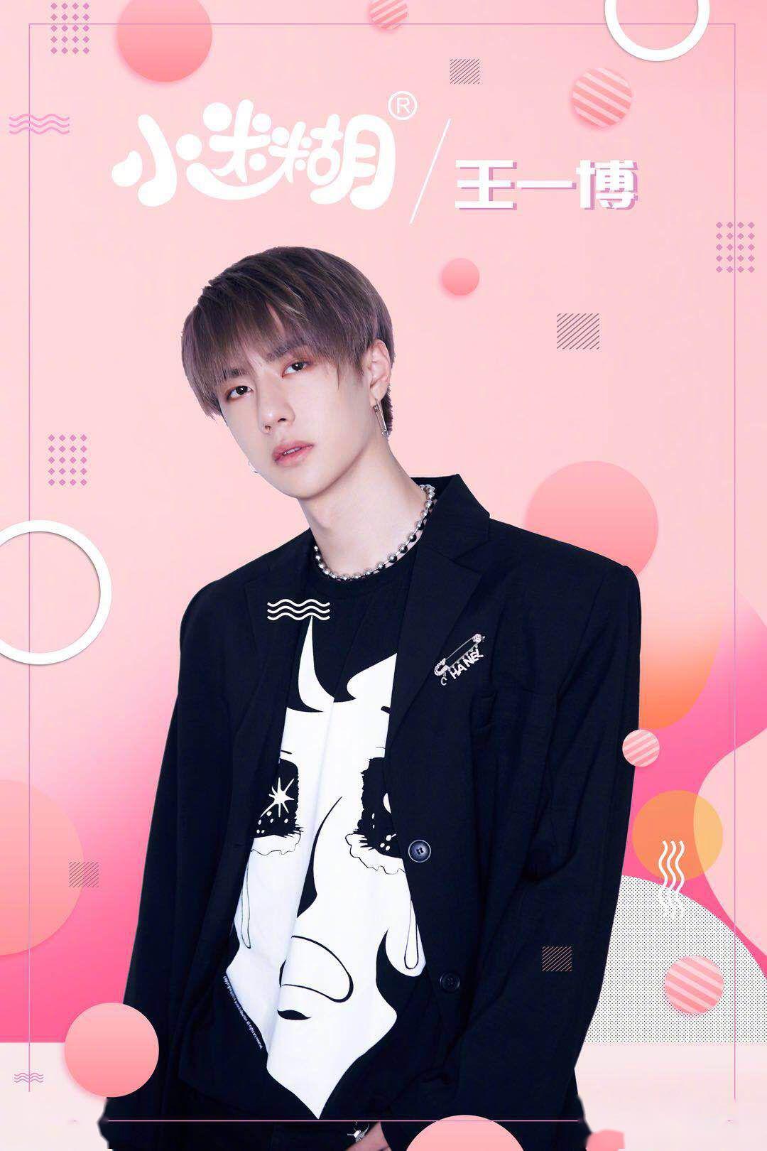 王中王一肖巾特資料詳解，王中王一肖巾特資料大全解析