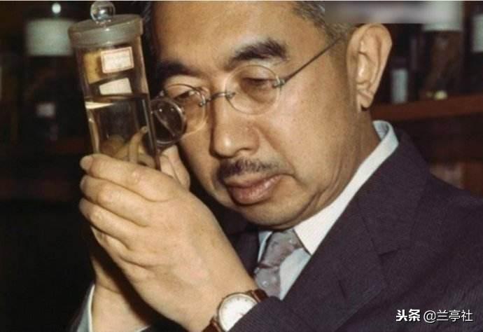 關(guān)于4949資料最新版本更新內(nèi)容的詳細(xì)介紹，4949資料最新更新內(nèi)容詳解