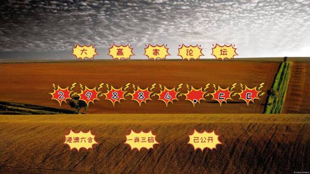 新澳門王中王六肖中特，探索與解析，新澳門王中王六肖中特，深度探索與解析