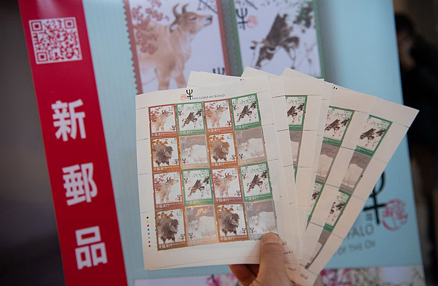 澳門值日生肖600圖庫與八百圖庫開獎(jiǎng)，探索生肖圖庫的魅力與奧秘，澳門生肖圖庫開獎(jiǎng)揭秘，探索值日生肖600圖庫與八百圖庫的魅力與奧秘