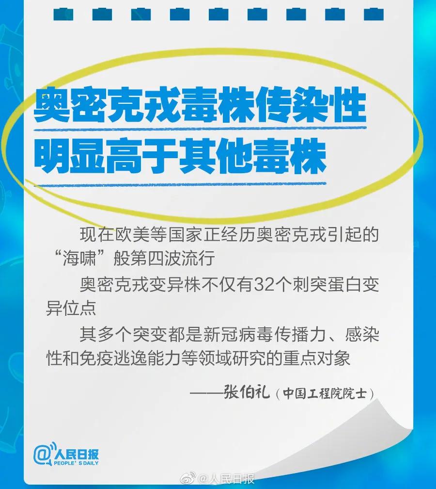 新奧2025最新資料大全，準確資料全面解析，新奧2025最新資料大全，全面解析準確資料一網(wǎng)打盡