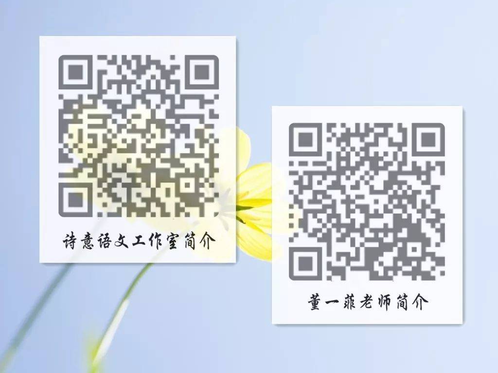 一碼一肖一特一，揭秘背后的秘密與獨(dú)特之處，揭秘一碼一肖一特一的獨(dú)特之處與背后秘密