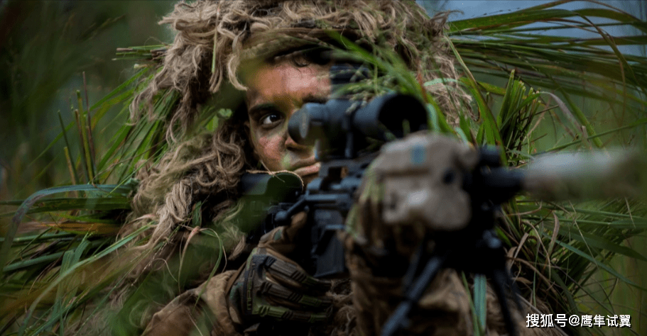 特戰(zhàn)狙擊手免費(fèi)閱讀——探尋軍事文學(xué)的魅力之旅，特戰(zhàn)狙擊手免費(fèi)閱讀，軍事文學(xué)的魅力探索