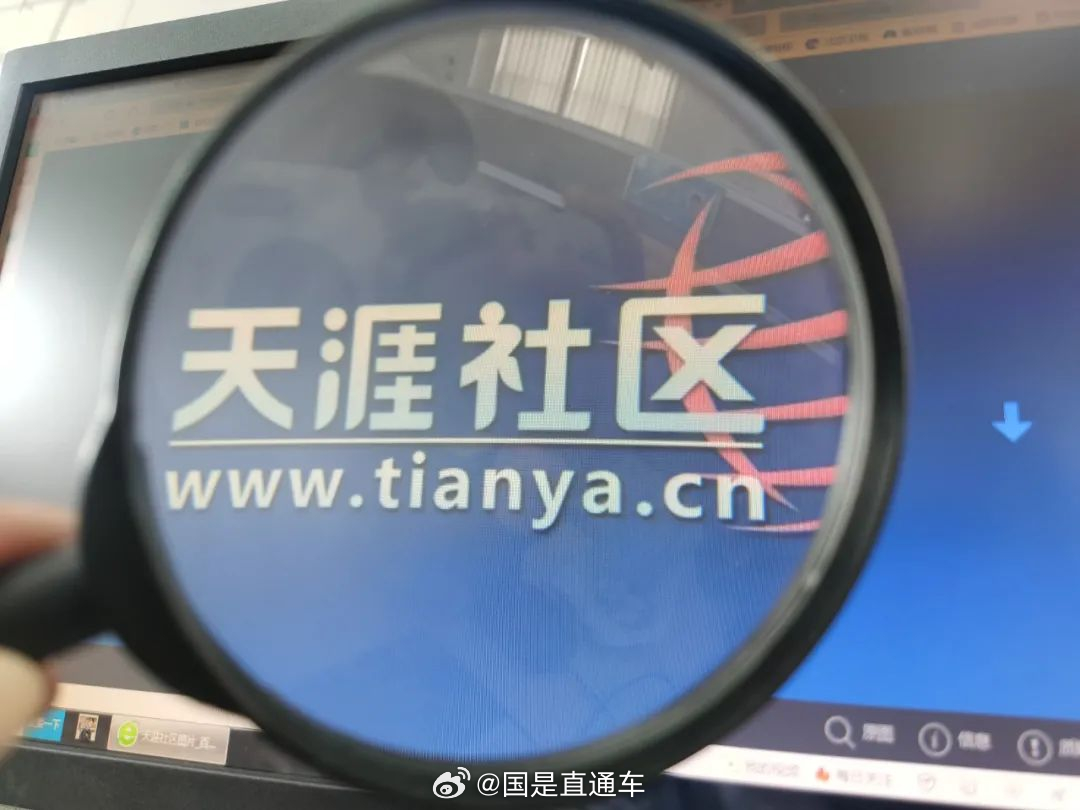 天涯國際觀察，全球視野下的深度分析與洞察，全球深度洞察，天涯國際觀察分析