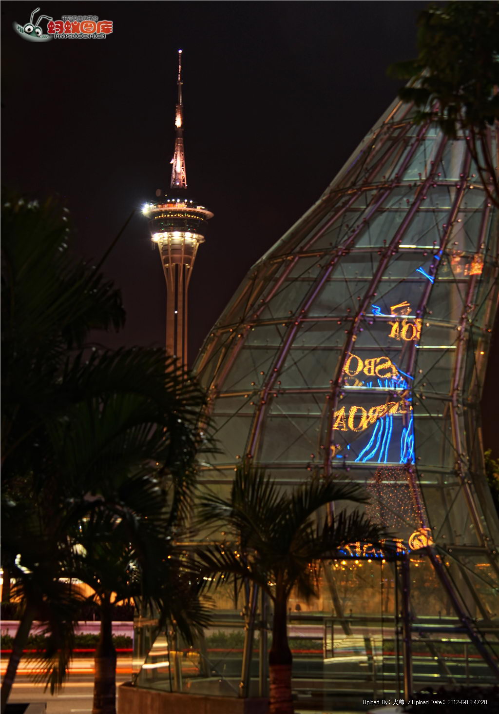 新澳門(mén)彩芳草地資料今天獨(dú)家解析，澳門(mén)彩芳草地資料獨(dú)家解析今日揭秘