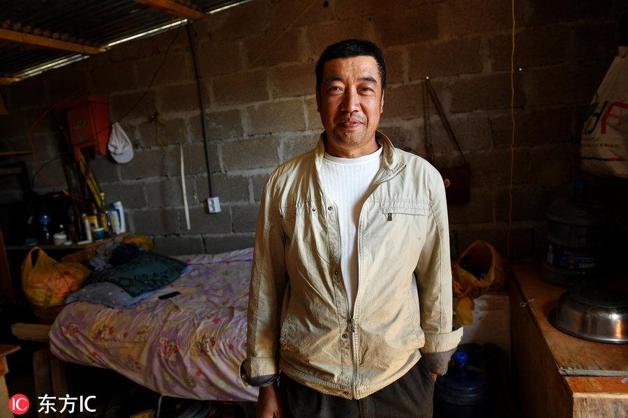 博科圣地組織，深度解析與理解，博科圣地組織深度解析與探究