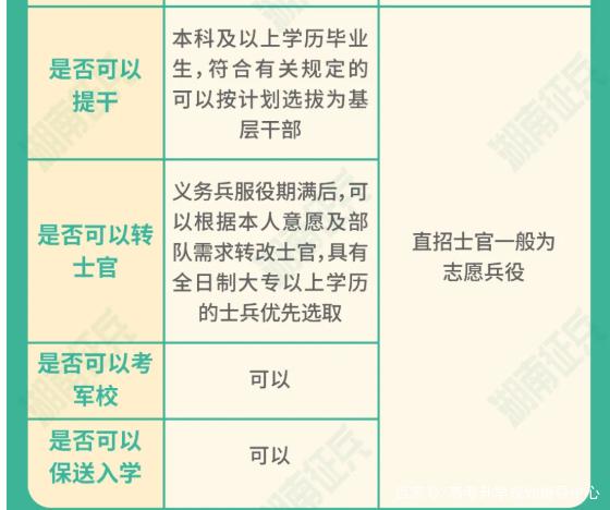 士官直招與義務(wù)兵的區(qū)別，深入了解軍隊(duì)招募制度，直招士官與義務(wù)兵招募制度深度解析，軍隊(duì)招募制度詳解