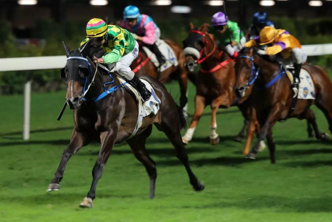 香港號(hào)碼走勢分析，探索數(shù)字背后的秘密，香港數(shù)字走勢解析，揭秘?cái)?shù)字背后的奧秘