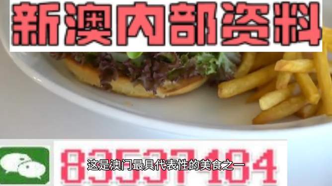 新澳2024生肖最新資料解析與預(yù)測(cè)，新澳2024生肖解析與預(yù)測(cè)報(bào)告