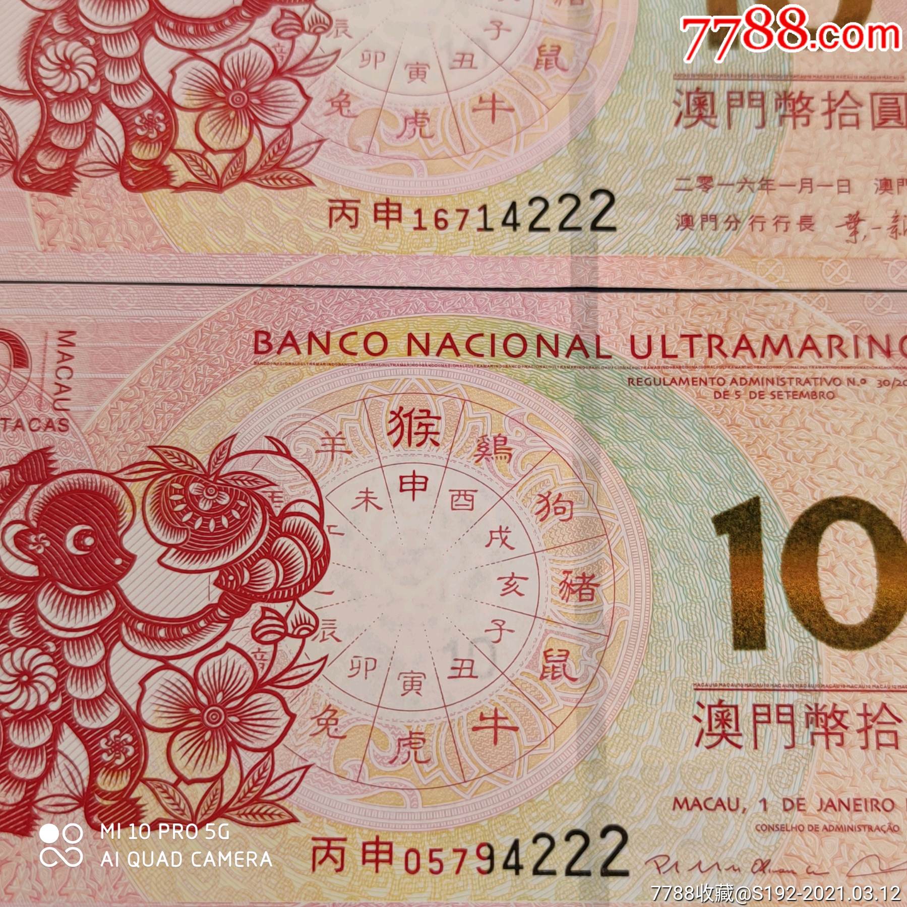 澳門生肖的魅力與SEO優(yōu)化策略，澳門生肖魅力揭秘與SEO優(yōu)化策略探討