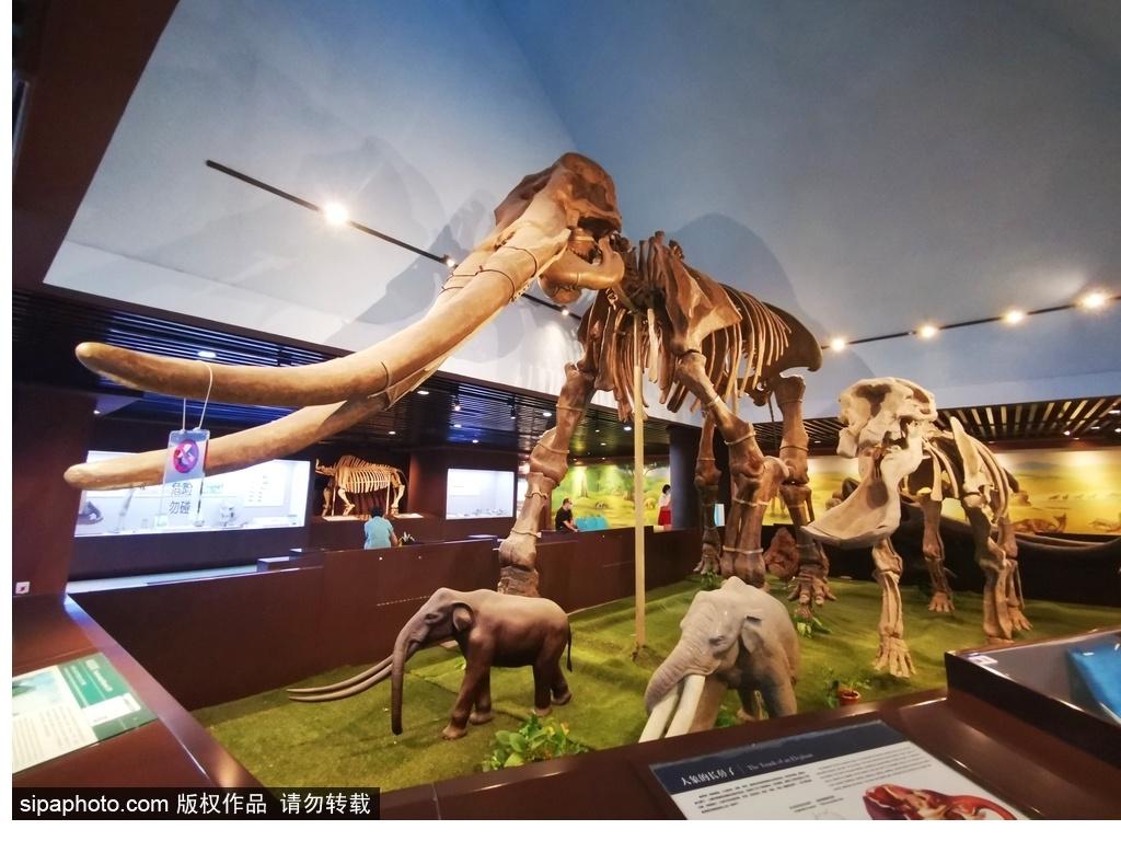 北京必去的十大博物館——探尋千年文化的精華之旅，北京必游十大博物館，千年文化精華之旅探尋記