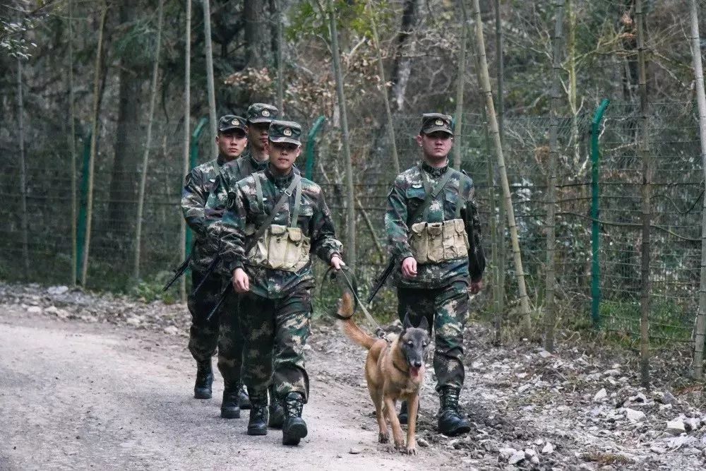 火箭軍是否都在大山之中？解析火箭軍的駐扎環(huán)境與任務(wù)特點，火箭軍的駐扎環(huán)境與任務(wù)特點解析，大山之中還是多元布局？
