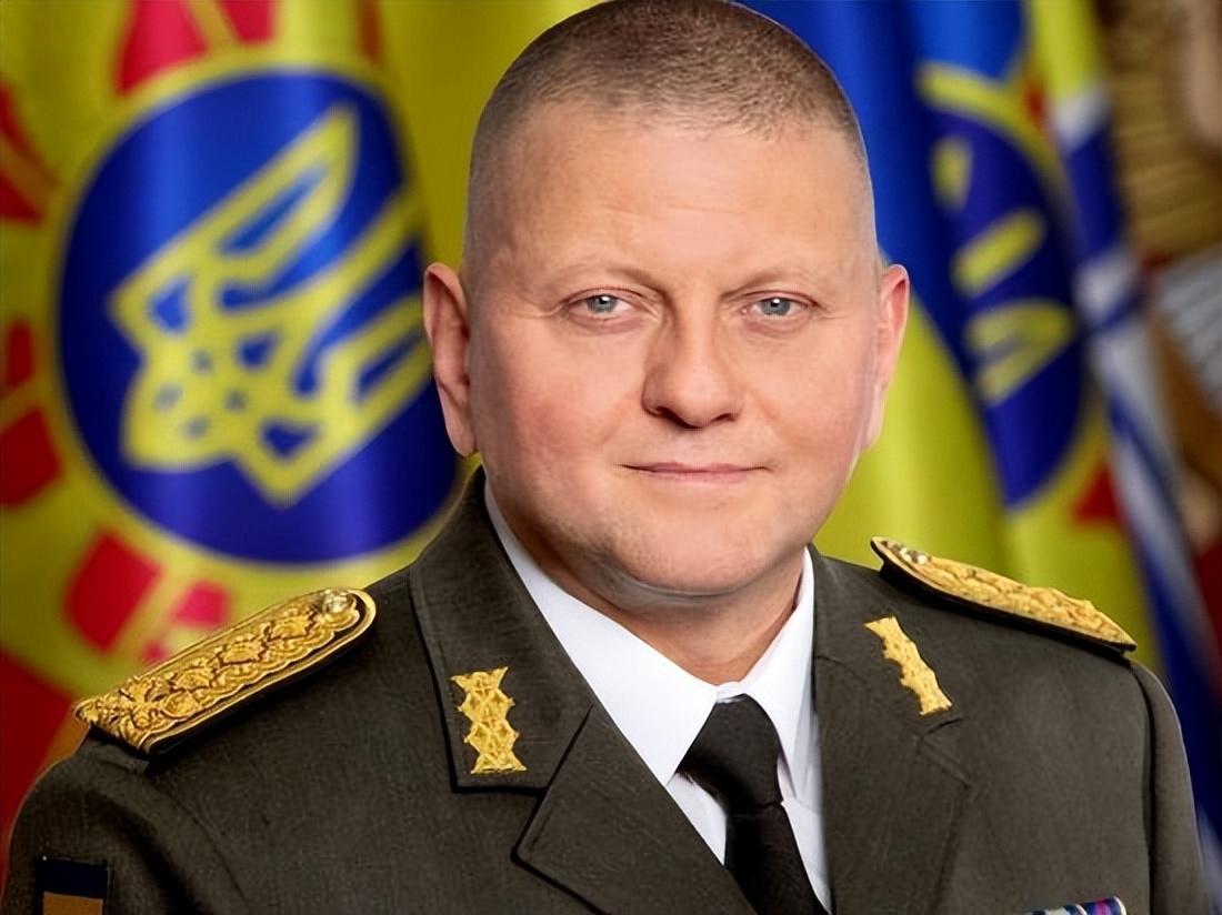 揭秘全球最大的軍事網(wǎng)站，深度探索軍事資訊的殿堂，全球軍事資訊殿堂，深度探索最大的軍事網(wǎng)站揭秘