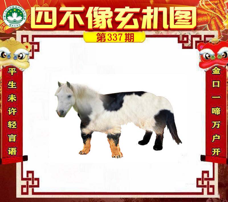 王中王四不像肖一肖中特