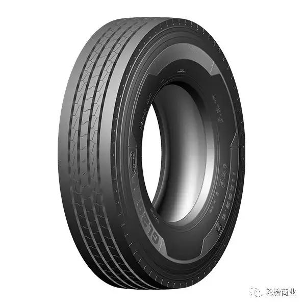 王中王295期指一生肖，揭秘生肖運勢與預(yù)測背后的秘密，揭秘生肖運勢預(yù)測，王中王295期生肖運勢背后的秘密探索