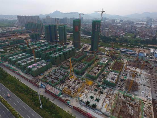 香港最準一肖中特，揭秘13769cm王中王的資料與獨特策略，揭秘香港最準一肖中特，王中王資料與獨特策略揭秘