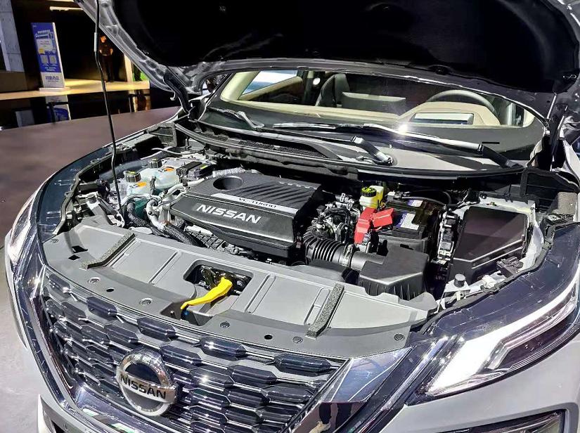 王中王四肖期期準(zhǔn)一期，揭秘預(yù)測背后的秘密與策略，揭秘王中王四肖預(yù)測背后的秘密與策略，每期準(zhǔn)確預(yù)測的背后真相