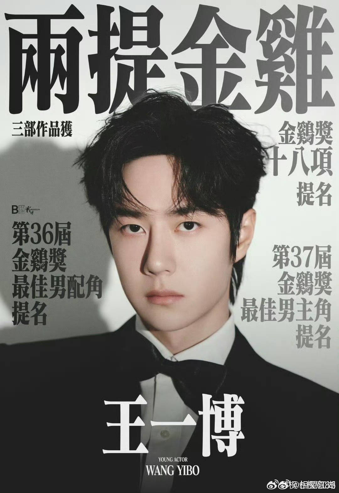 王中王一肖中特論特，深度解析與SEO洞察，深度解析王中王一肖中特論特與SEO洞察