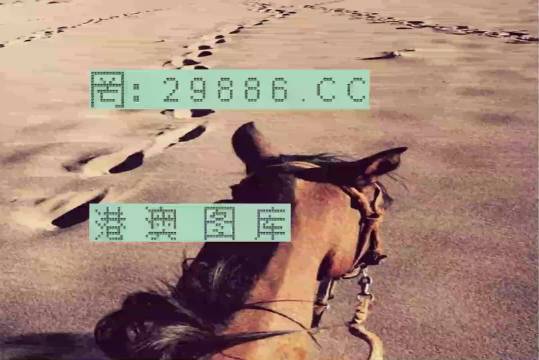 香港特馬資料王中王24期，深度解析與探索，香港特馬資料王中王深度解析與探索，第24期探索之旅