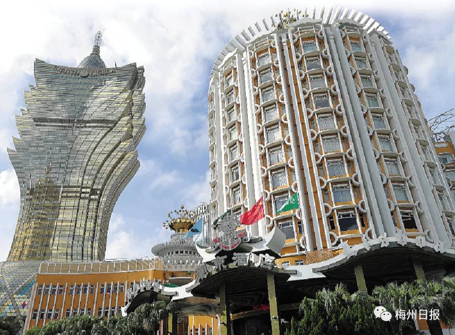 新澳門最精準——探索澳門的精準旅游魅力，澳門精準旅游魅力探索之旅