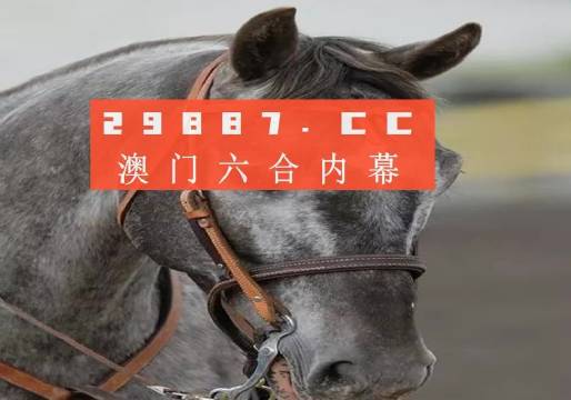 今晚澳門精準(zhǔn)一肖一馬