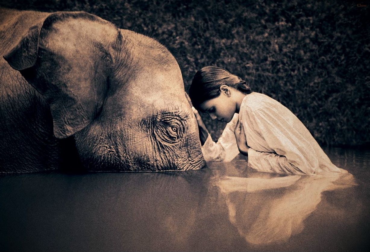 揭秘劉伯溫四不像特一肖圖，探尋背后的神秘故事與傳說(shuō)，劉伯溫四不像特一肖圖背后的神秘故事與傳說(shuō)揭秘