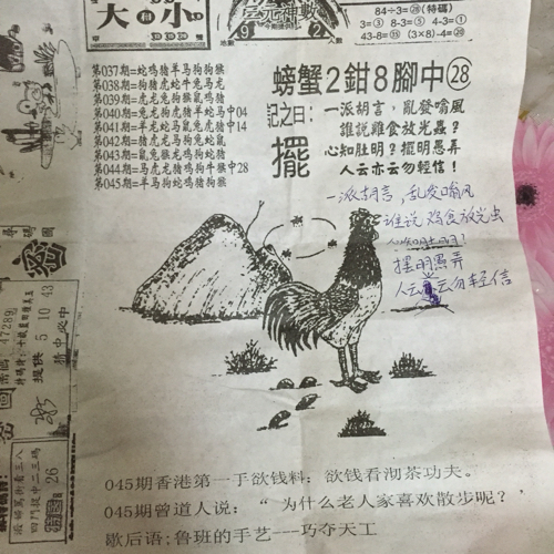 揭秘林中的高手王中王猜一肖的奧秘，揭秘林中之王王中王與生肖奧秘探秘