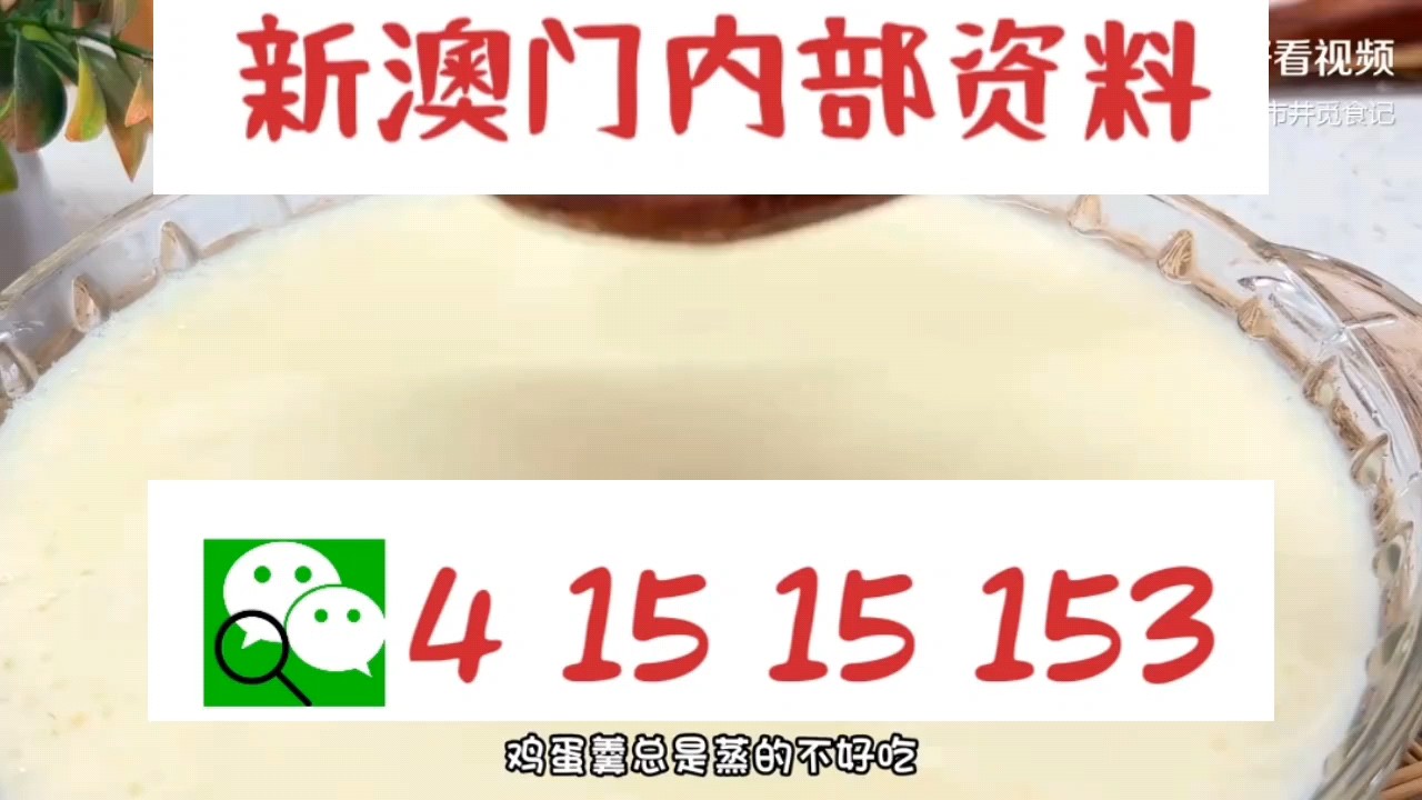 最快新澳門開獎直播，實時掌握開獎信息，體驗極速互動，新澳門實時開獎直播，極速掌握開獎信息，互動體驗盡在指尖