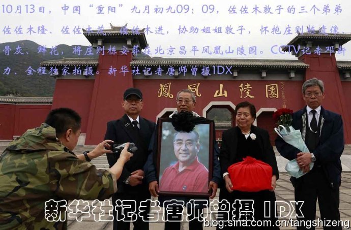 王中王必選一肖，揭秘背后的秘密與策略，揭秘王中王必選一肖背后的秘密策略