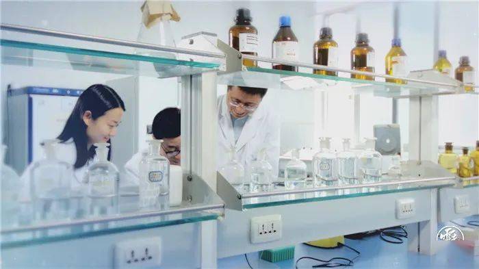 新澳門王中王游戲，揭秘期期中秘密與SEO策略，揭秘新澳門王中王游戲期期中秘密與SEO策略之道