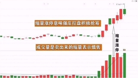 王中王一肖平碼，揭秘背后的故事與SEO策略，王中王一肖平碼背后的故事與SEO策略揭秘