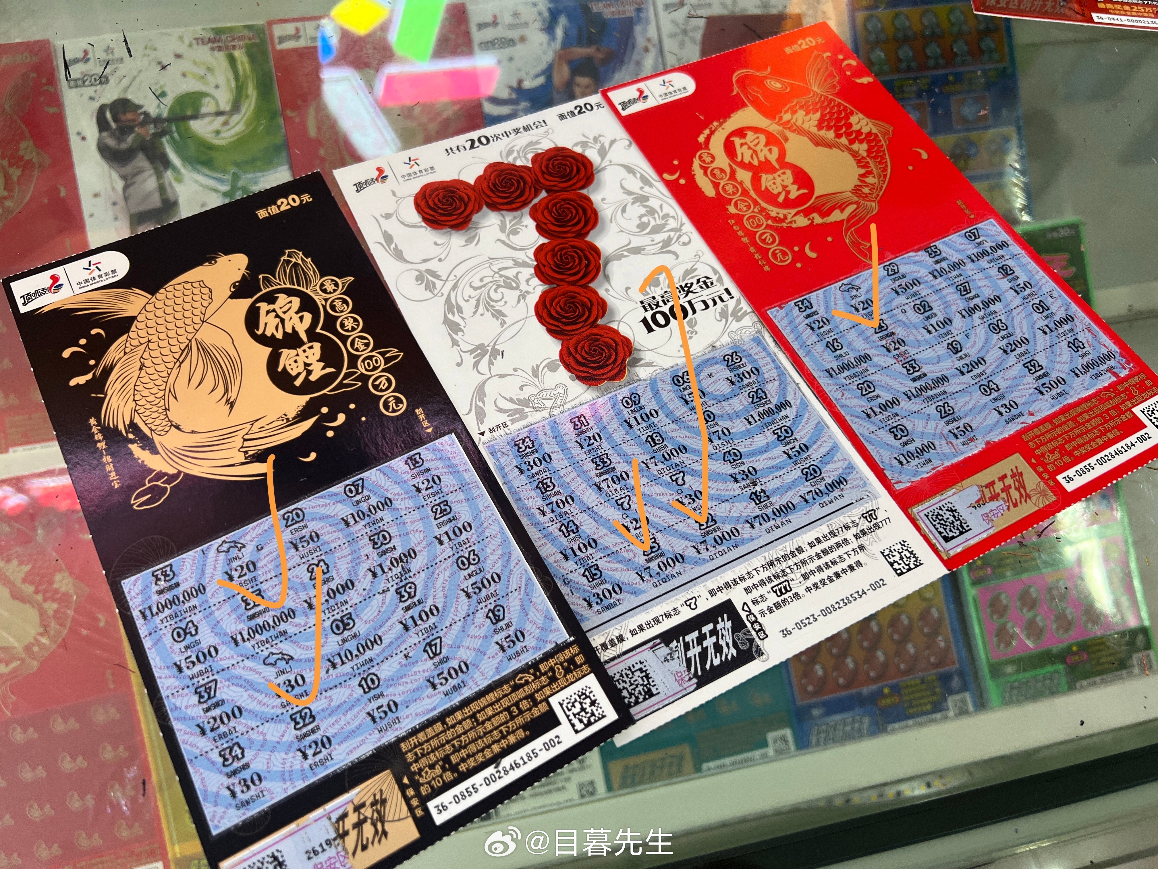 全年王中王一肖中特，深度解析與預(yù)測，全年王中王一肖深度解析與預(yù)測，揭秘特肖趨勢