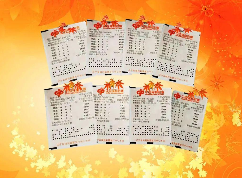 2025年香港開獎(jiǎng)結(jié)果記錄全解析，香港開獎(jiǎng)結(jié)果記錄全解析（2025年）