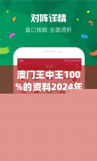 王中王網(wǎng)站一肖，探索與SEO優(yōu)化策略，王中王網(wǎng)站一肖，深度探索與SEO優(yōu)化策略實踐