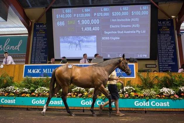 2025新澳免費資料曬馬匯——全面解析與獨家分享，獨家解析與分享，2025新澳免費資料曬馬匯揭秘