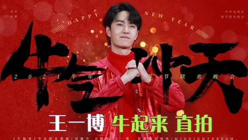 關(guān)于中王王中王一肖中特的SEO文章，中王王中王一肖中特的SEO優(yōu)化策略解析