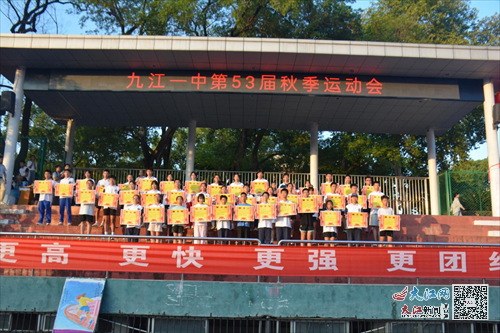 奧門一碼一肖一特一中，探索背后的秘密與魅力，澳門一碼一肖一特一中，揭秘背后的神秘魅力