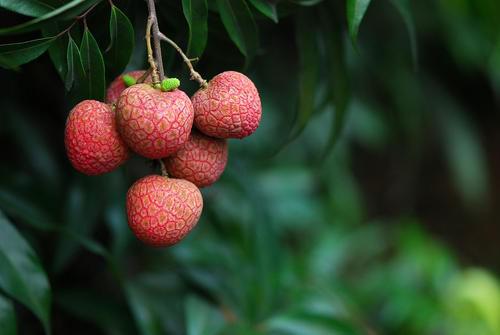 42088狀元紅精準(zhǔn)資料大全——全方位解讀，助您一臂之力，狀元紅精準(zhǔn)資料大全，全方位解讀，助力金榜題名