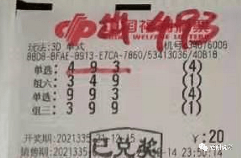 新奧門彩天天開獎資料一網(wǎng)羅萬象，揭秘彩票奧秘，揭秘彩票奧秘，新奧門彩天天開獎資料一網(wǎng)羅萬象