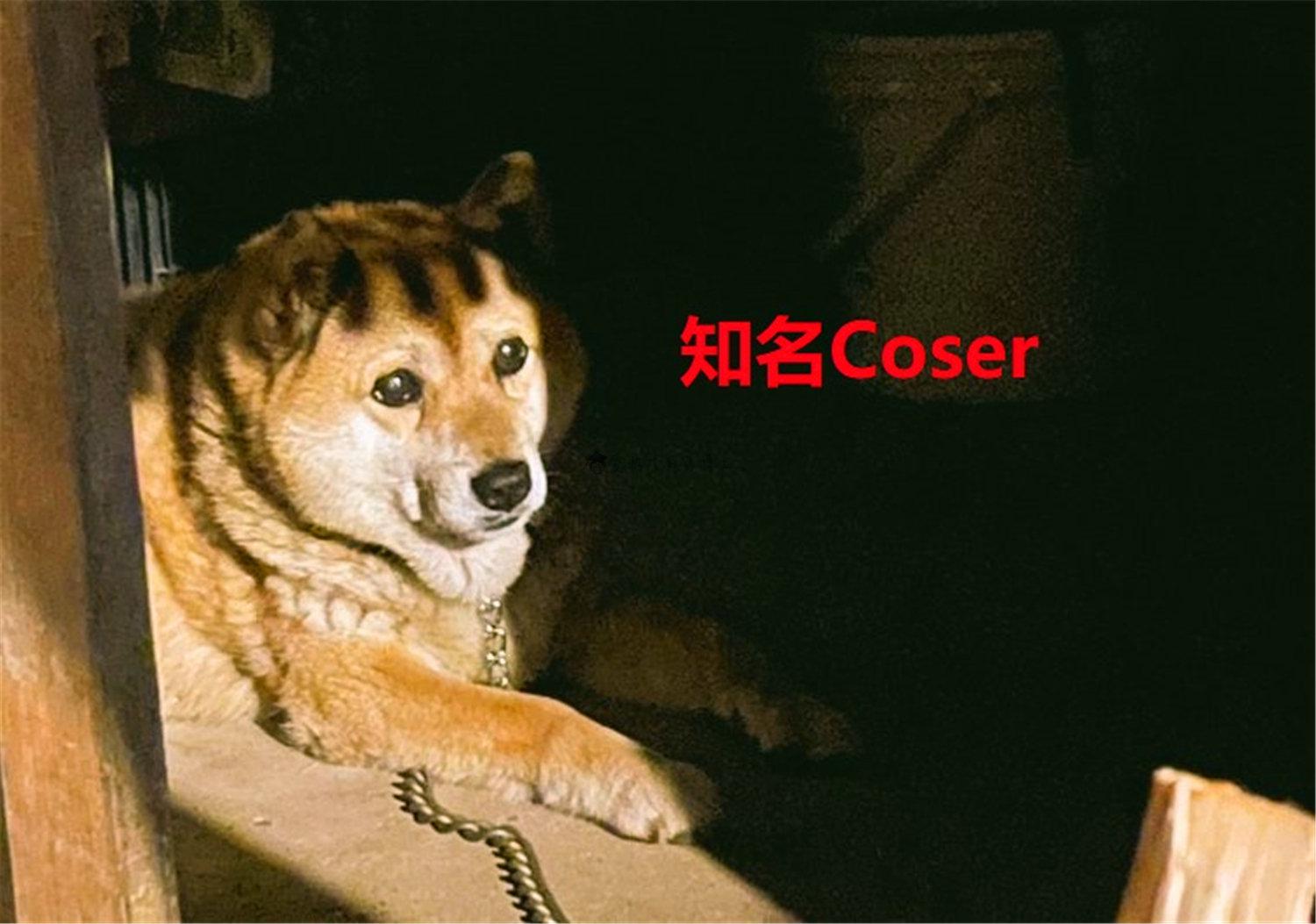 豬狗同行王中王，猜一肖，深度解析與SEO優(yōu)化，豬狗同行王中王猜謎解析與SEO優(yōu)化技巧，深度解析揭秘生肖之謎