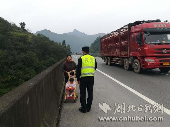 王中王解平特一肖，深度解析與探索，王中王解平特一肖，深度剖析與探索