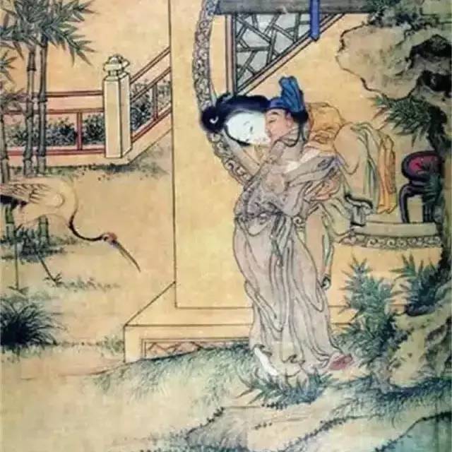 劉伯溫臼小女旦一肖中