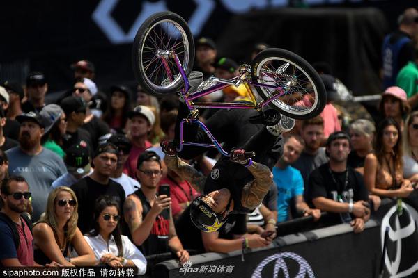 劉伯溫與馬選一肖——探尋傳奇人物與生肖文化的神秘聯(lián)系，劉伯溫與馬選一肖，傳奇人物與生肖文化的神秘交匯