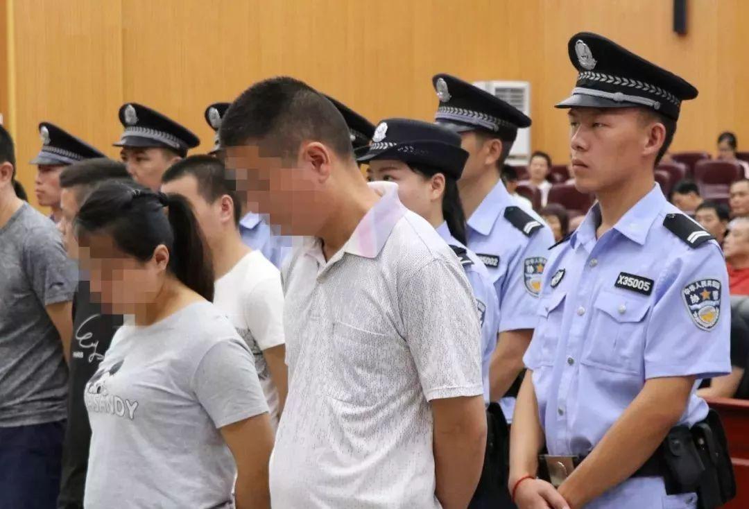 探索香港正版精準特馬資料，全方位解析與指南，香港正版特馬資料全方位解析與指南，探索精準特馬資料的世界